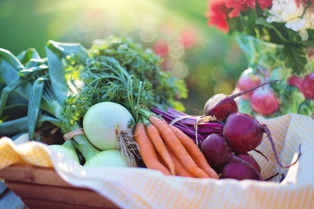 bowl of vegetables on display