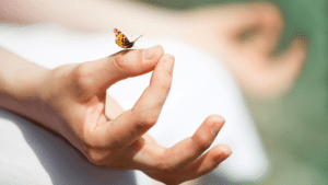 person meditating with butterfly on hand zen feeling
