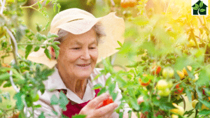 senior in the garden living intentionally