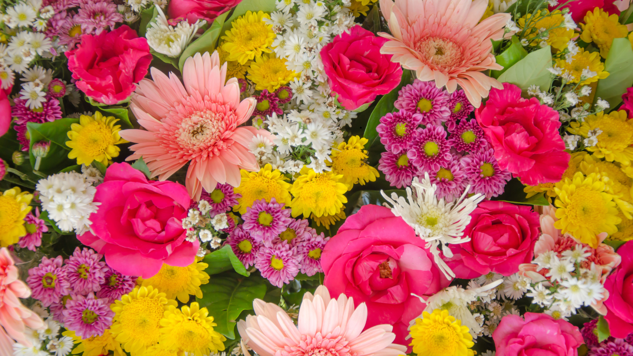colorful mixed flowers